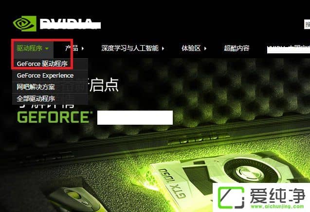 W10X_nvidiaôQ