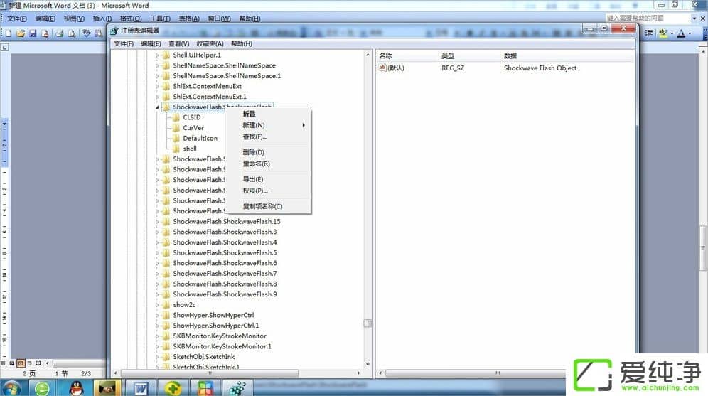 w7oעFlash PlayerActivexؼôk