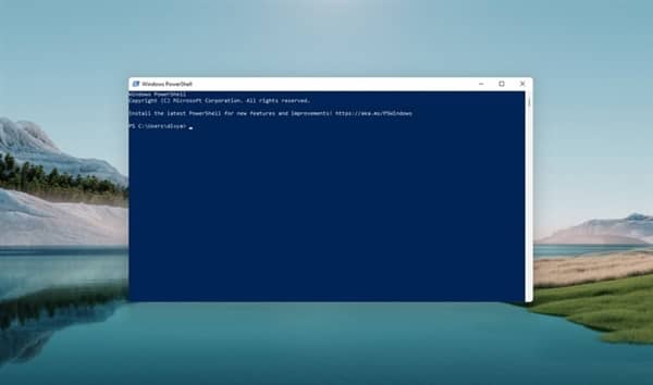 Windows 11ϵy(tng)RͻȻй©׃