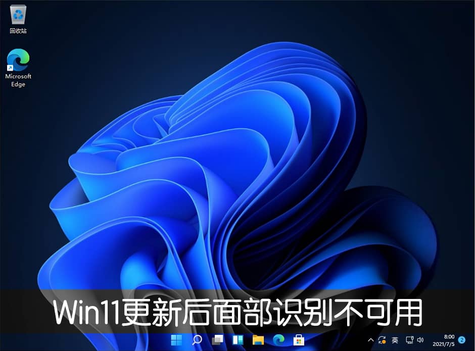 Win11ϵy(tng)22000.100沿Reôk