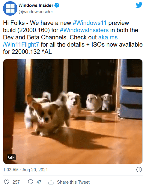 ȶr(sh)ׂ(g)Windows 11 ISORl(f)