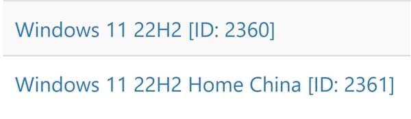Win11 22H2ʽ́ISOd朽й¶