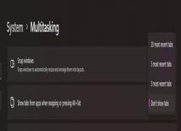 {(dio)Win11Alt+Tabֻ֧ГQ20(g)(bio)