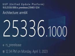 Win11 Build 25336 A(y)[l(f)Snap  20 (bio)x(xing)