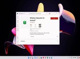 ٣Win11ܰ׿APK