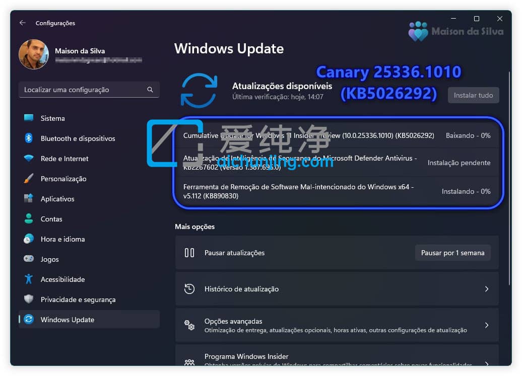 Win11 Canary Build 25336.1010 A(y)[棺Ho