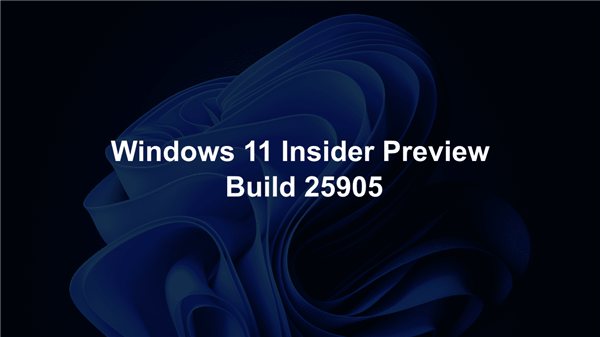 Win11 2024°l(f)(ni)،CC++ZԱȡ