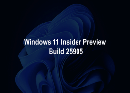 Win11 2024°l(f)(ni)،C/C++ZԱȡ