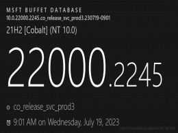 Win117¿x汾̖(ho) Build 22000.2245