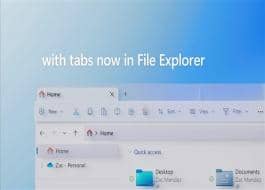 Win12(hu)ȡWin11Ŀ(bio)Google