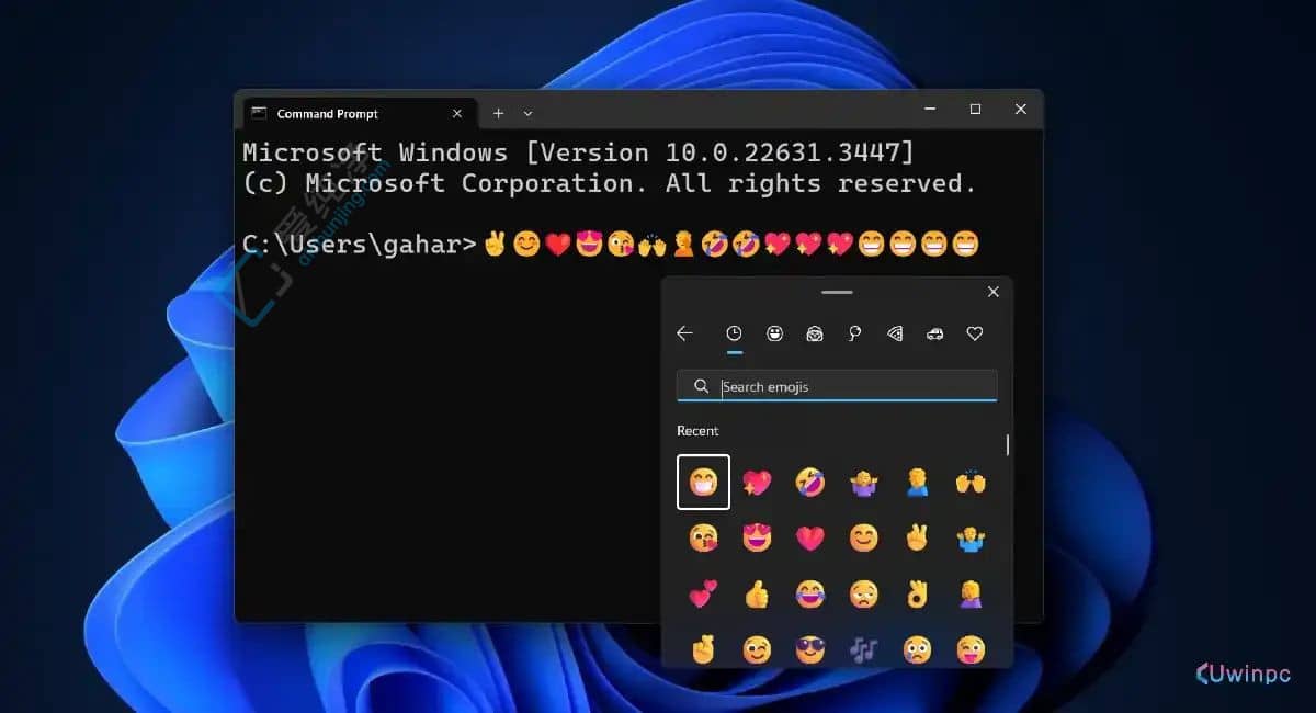 Win11¸TerminalKˑ(yng)ãF(xin)֧ݔEmoji