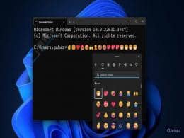Win11¸(qing)TerminalKˑ(yng)ãF(xin)֧ݔEmoji