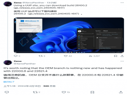 Win11OEM֧汾26100.2
