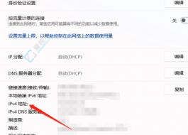 Win11鿴IPַăɷNη׌Wj׃pe