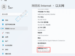 Win11ϵy(tng)пٲ鿴MACַķվWj