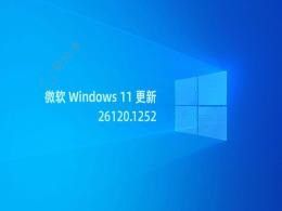 Win11ÑDev´BUGd 8%CPU ռ 100%XD