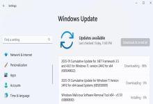 Win11ϵy(tng)@ 2025 ׂ(g)۷e£ޏ(f) BUG(yu)w(yn)